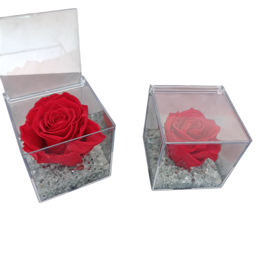 Scatolino decorativo con rosa stabilizzata eterna